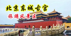 看一级粗鸡巴操逼美女视频中国北京-东城古宫旅游风景区